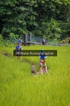 Runner Photo 90449