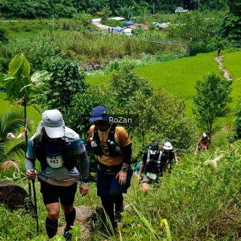 Runner Photo 90474