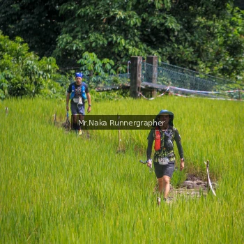 Runner Photo 90480