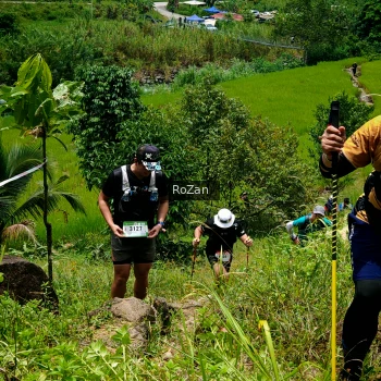 Runner Photo 90492