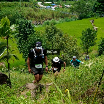 Runner Photo 90494