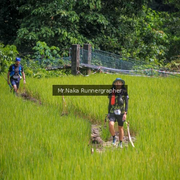 Runner Photo 90509