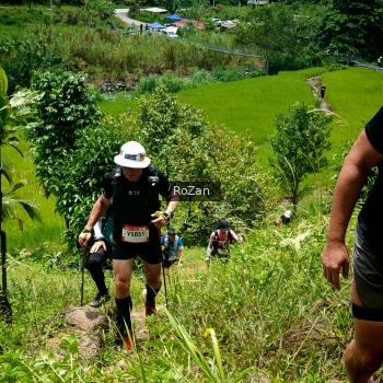Runner Photo 90510