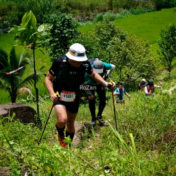 Runner Photo 90516