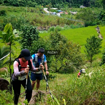 Runner Photo 90541