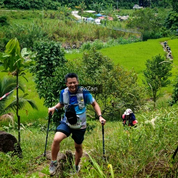 Runner Photo 90553