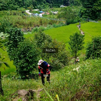 Runner Photo 90582