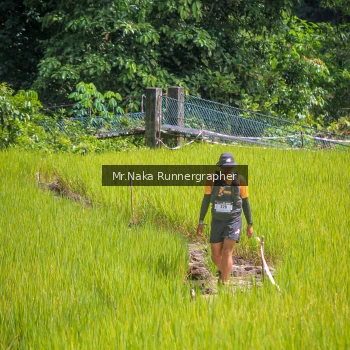 Runner Photo 90609