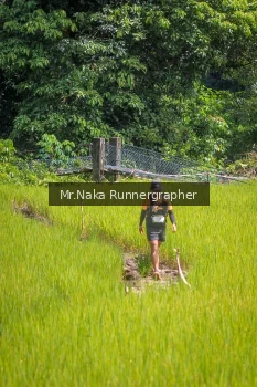 Runner Photo 90628