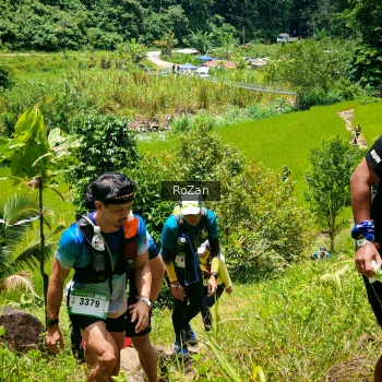 Runner Photo 90640