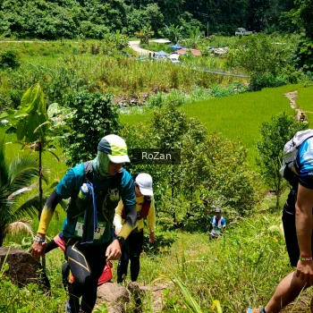 Runner Photo 90646