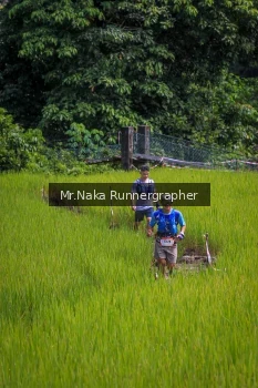 Runner Photo 90659