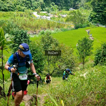 Runner Photo 90695