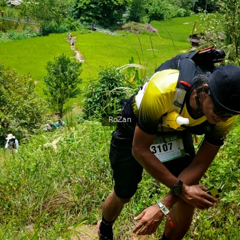Runner Photo 90754