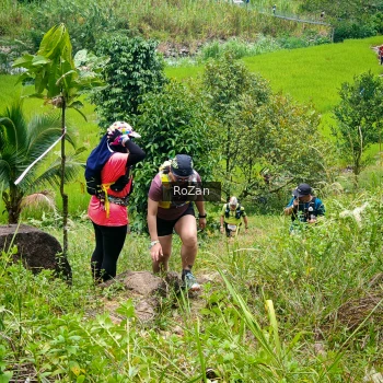 Runner Photo 90822