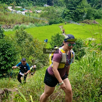 Runner Photo 90834