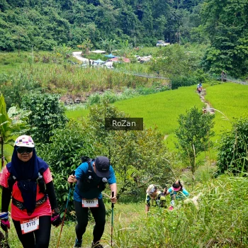Runner Photo 90851