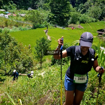 Runner Photo 91062