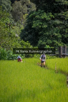 Runner Photo 91065