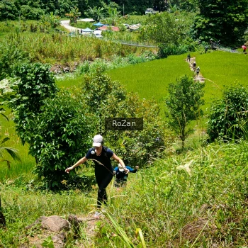 Runner Photo 91069
