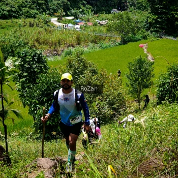 Runner Photo 91104