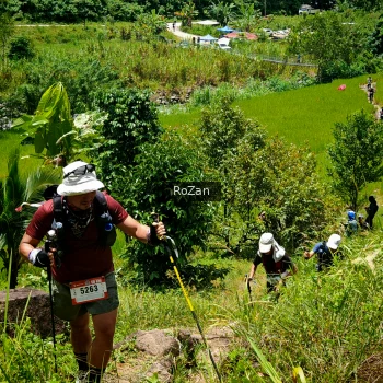 Runner Photo 91159
