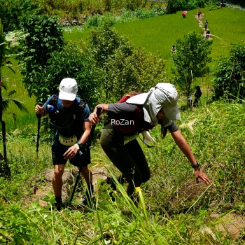 Runner Photo 91179