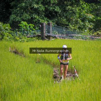 Runner Photo 91193