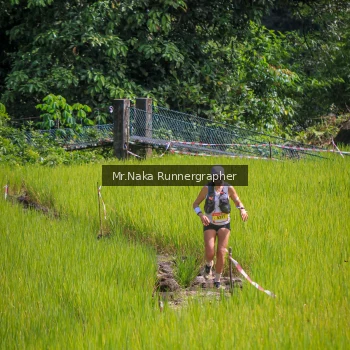 Runner Photo 91211