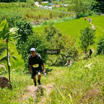 Runner Photo 91216