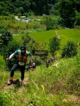 Runner Photo 91236