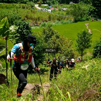 Runner Photo 91239