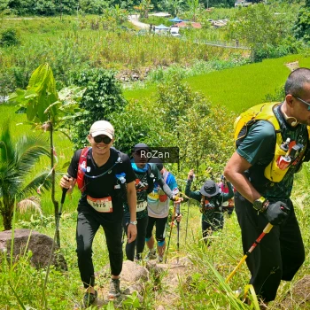 Runner Photo 91266