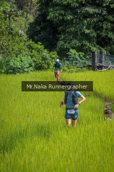 Runner Photo 91308