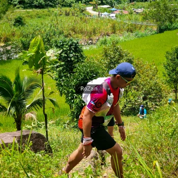 Runner Photo 91319