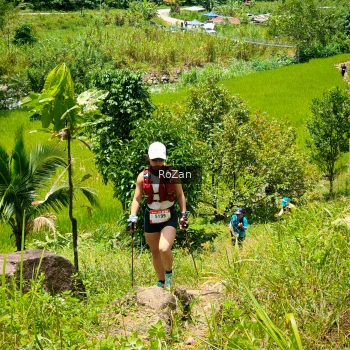 Runner Photo 91321