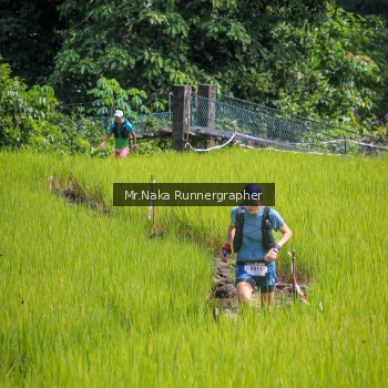 Runner Photo 91339