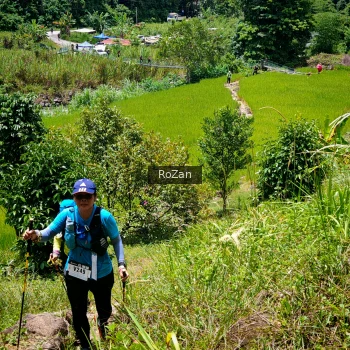 Runner Photo 91359
