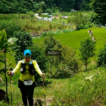 Runner Photo 91365