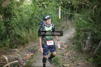 Runner Photo 91381