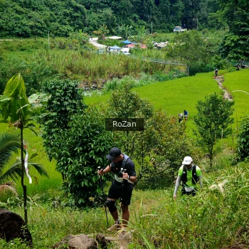 Runner Photo 91386