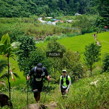 Runner Photo 91391