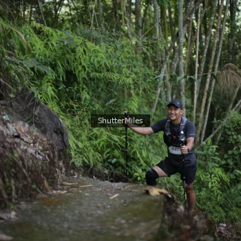 Runner Photo 91405