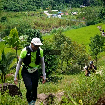 Runner Photo 91406