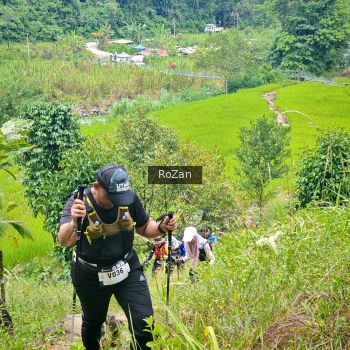 Runner Photo 91415