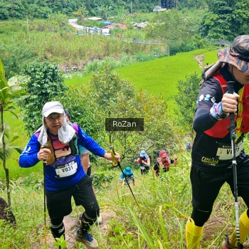 Runner Photo 91445