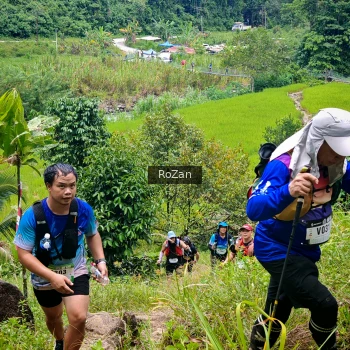 Runner Photo 91450