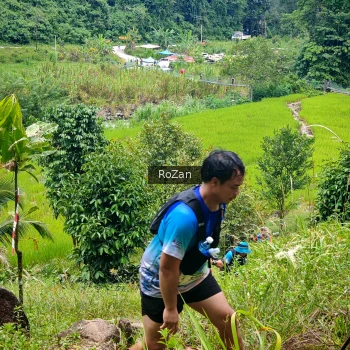 Runner Photo 91453