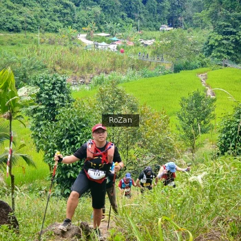 Runner Photo 91468