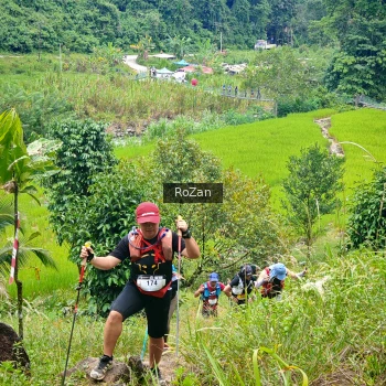 Runner Photo 91469